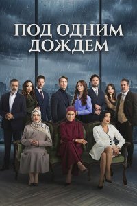 Под одним дождем